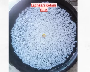 Paarijat Lachkari Kolam Blue (Old) Raw