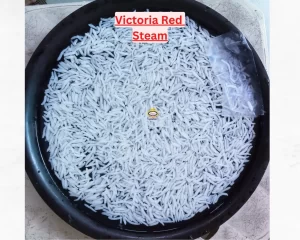 Paarijat Red Victoria